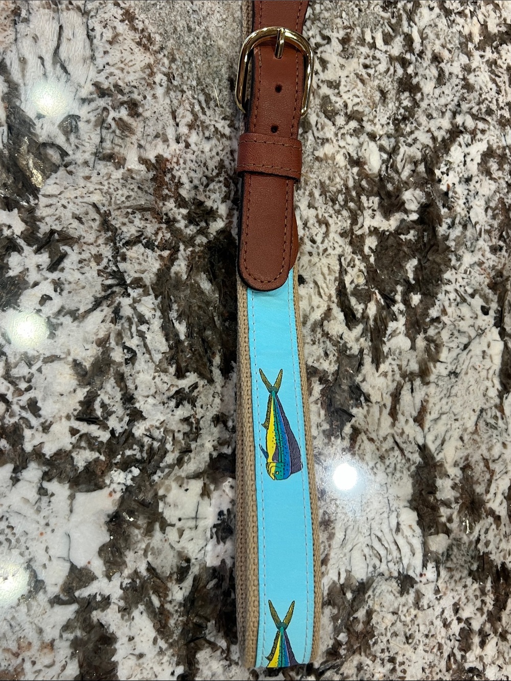 Men's Blue Fish-Print Webbing Belt with Brown Leather Trim